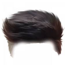 Cb Hair Png Editing Picsart Hair Png Stylish Image Free Dowwnload Hair Png Photoshop Hair Boy Hairstyles