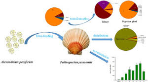 Image result for Paralytic Shellfish Poisoning