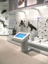 Digital Label Birds Of Canada Canadian Museum Of Nature Exhibit Design By Origin Studios Inc Nature Museum Museum Exhibition Design Exhibition Design