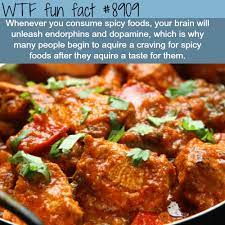 Spicy Foods Wtf Fun Facts Fun Facts Food Facts Spicy Recipes