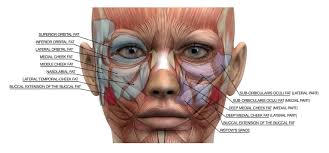 PAO-HNS Soundings Newsletter Spring 2024 by TEAM