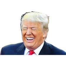 Angel Reese 12th straight double-double 🔥🔥🔥 Reese has tied Candace  Parker's WNBA record of 12 consecutive double-doubles! Reese tonight: 27  points (career-high) 10 rebounds 2 blocks 8-13 FG 2-2 3P ROOKIE OF THE  YEAR! 😤