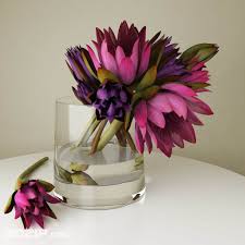 3d Plant Model 53 Free Download Model Plants Glass Vase