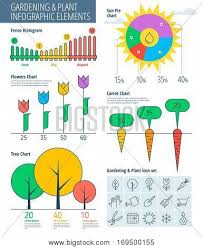 Infographic Elements Vector Photo Free Trial Bigstock
