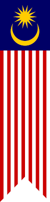 The 14 stripes, of equal width, represent the equal status in the federation of the 13 member states and the federal territories, while the. File Flag Of Malaysia Vertical Svg Wikipedia