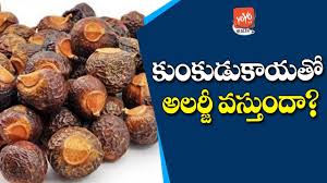 The shampoo is enriched with kunkudukai, a traditional herbal ingredient which cleans the hair. Kunkudukai Benefits Kunkudukai Side Effects How To Use Soap Nuts For Hair Care Yoyo Tv Health Youtube