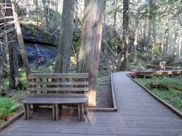 The trail of the cedars, one of two wheelchair accessible trails in glacier. Trail Of Cedars Glacier National Park Montana Fairy Tale Forest