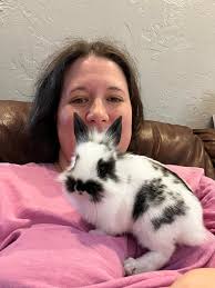 Is he a dwarf lionhead or a mix?