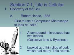 Discovered animal tissues are made up of cells. Ppt Cell Structure Function Ch 7 Sec 1 2 Pages 169 181 Powerpoint Presentation Id 3781853