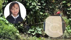 Aparece dibujo que hizo Valeria Afanador: lo que pintó podría ser pieza  clave dentro de su desaparición - Semana