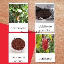 Epingle Sur Co Schooling Ecole A La Maison Homeschooling