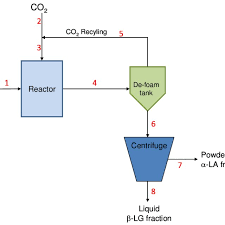 simplified flow chart for the continuous sco 2 whey protein