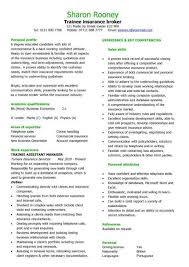 trainee solicitor cv - Kleo.beachfix.co