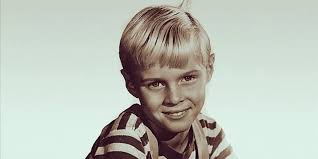 Dennis the Menace's Jay North Raised 3 Stepkids Far from Hollywood