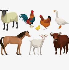 مزرعة الحيوان التوضيح النواقل Sheep Illustration Farm Vector Animal Clipart