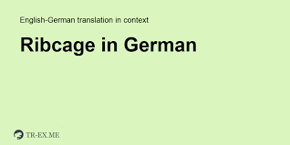 We did not find results for: Ribcage Auf Deutsch Deutsch Ubersetzung Verwendungsbeispiele Ribcage In Satz In Englisch