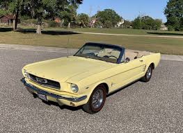 Image result for Springtime Yellow 1966 Mustang