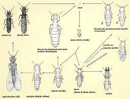 Check spelling or type a new query. Bmt Noyon
