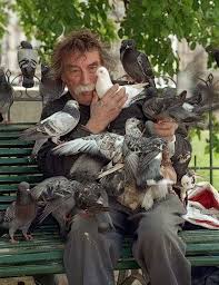 Pierrot Feeding Pigeons In Front Of Notre Dame Pigeon Pictures Animals Beautiful Pet Birds