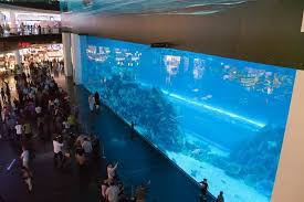 Shop The Dubai Mall Uae Tripbucket Dubai Mall Big Aquarium Dubai Holidays