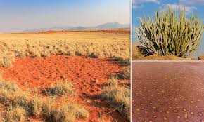 But they are also present in angola and south africa. Africa S Fairy Circle Mystery Is Finally Solved In New Study Daily Mail Online
