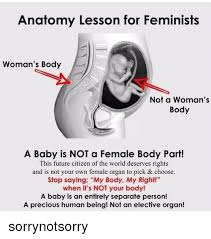 They're not looking at themselves because they're it's largely because of how their body makes them feel about themselves and how other women see them. Anatomy Lesson For Feminists Woman S Body Not A Woman S Body A Baby Is Not A Female Body Part This Future Citizen Of The World Deserves Rights And Is Not Your Own Female