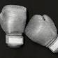 NM State Silver Gloves