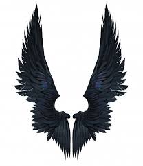 Black And White Wings Background Pin De Sienna En Bases De Animales En 2020 Dibujo De Alas Tatuajes De Alas Imagenes De Alas