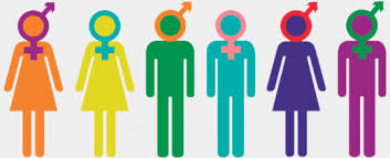 Educacion Sexual Para Todos As Un Puente Hacia La Salud Sexual Federacion Enlace