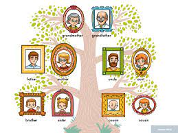 We did not find results for: Vector Cartoon Family Tree Visual Dictionary Of Family Members By Ksenya Savva On Dribbble