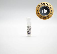 Image result for Pimpinella sp. A. of FZ 4: 594