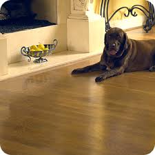 Learn about potential problems with finishing oak floors with help from an experienced contractor in this free video clip. Heritage Oak Flooring Unfinished Hickory Red And White Oak Tongue And Groove Denver Hardwood Co