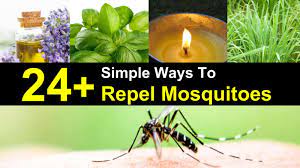 So which of these new products actually work and how do they stack up against what's already out there? 24 Simple Ways To Repel Mosquitoes