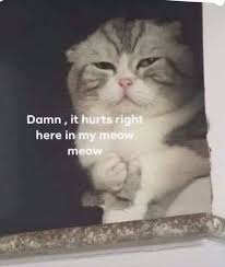 This Mother Who Has Alzheimer For A Moment Remembers Her Daughter And Says I Love You Cute Memes Cute Cat Memes Cute Love Memes