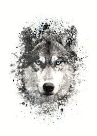 Black And White Wolf Tattoo With Blue Eyes Wolf With Blue Eyes Metal Poster Jp Voodoo Displate Wolf With Blue Eyes Wolf Tattoos For Women Animal Sleeve Tattoo