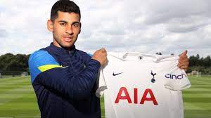 Tottenham hotspur fc/tottenham hotspur fc via getty image. Oqjs7nbgdqzvrm