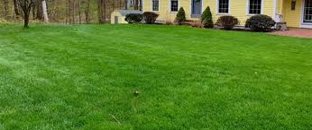 As your lawn matures, it will absorb more of the applied fertilizer and consequently require less and less applications over time. How Hydroseeding Revitalizes Your Lawn Gatsby Grounds Company Blog