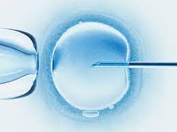 7 Things Every Woman Should Know Before Freezing Her Eggs Pbs Newshour