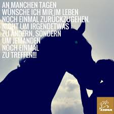 Besuche Uns Www Emma Pferdefuttershop De Www My Mash De Pferdespruche Spruche Tiere Lustige Pferdespruche