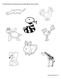 Des mammifères qui pondent des oeufs. Encercle Les Animaux Qui Pondent Des Oeufs Activite A Imprimer Animaux Qui Pondent Des Oeufs Prescolaire Activite Maternelle