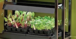 Tabletop grow lights discover the best fluorescent and led grow lights for all your indoor gardening needs: Gardening Under Grow Lights Gardener S Supply