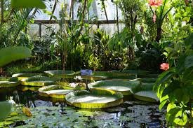 Partagez vos plus belles photos ! Jardin Botanique De Lyon 2021 All You Need To Know Before You Go With Photos Tripadvisor