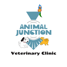 Urgent and emergent veterinary care. Ontario Ny 14519 Veterinarian Animal Junction Veterinary Clinic
