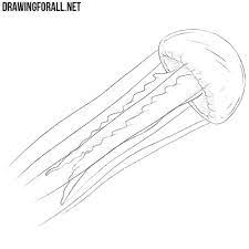 Draw a wavy line to form the bottom and we'll move on to the face! How To Draw A Jellyfish