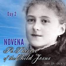 Saint Therese of Liseux, please help me , I am battling now with low  platelet possible of Dengue , please help me erase these kind of sickness  in my body...
