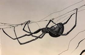 Just like other spiders, black widow spiders weave webs to catch their food, which are usually insects and other arachnids. Black Widow Ink 5x8 Watercolorpaper Drawing