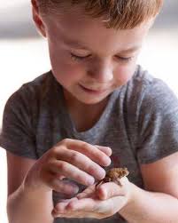 Organic Beginnings Montessori School, 1701 Baltic Ave, Virginia Beach, VA  23451, US