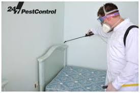 Unfortunately, we specialize in pest control supplies and we are not well versed in home remedies. Bed Bug Treatment Local Exterminators London Bed Bug Control