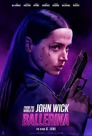 Film-trailer: Amy Adams efterforsker en brutal forbrydelse i  Netflix-thrilleren "Kvinden i vinduet"