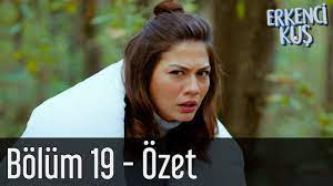 erkenci kus 19 bolum ozet youtube
